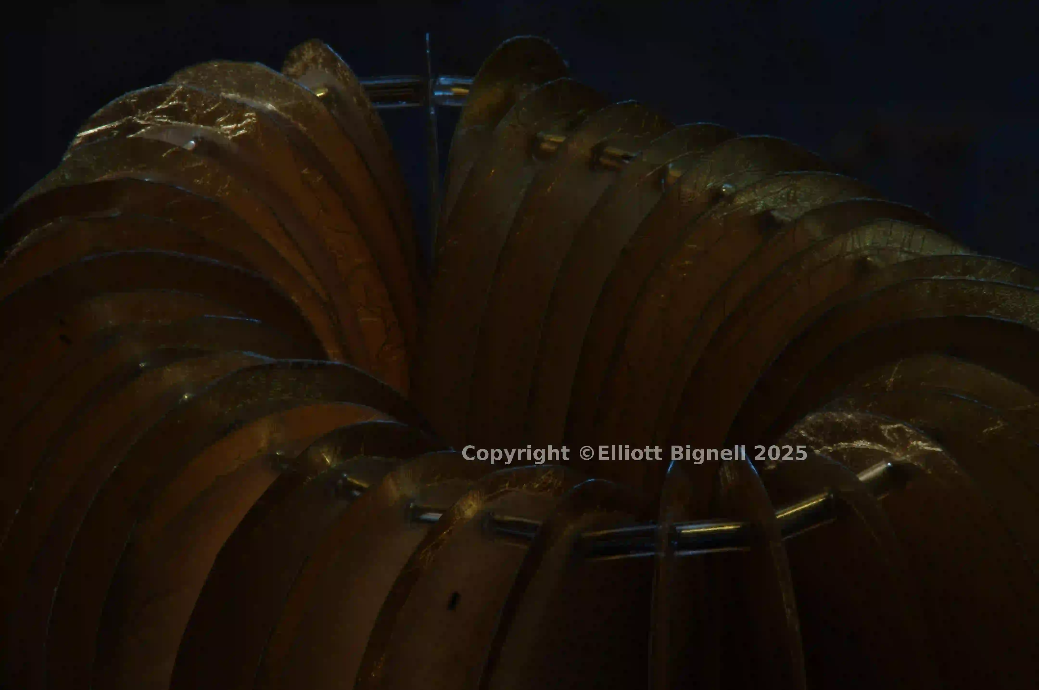 2013-11-10-20.26.05 ZS PMax.jpg